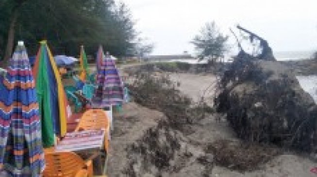 Gelombang Tinggi Kikis Bibir Pantai Kata Kota Pariaman