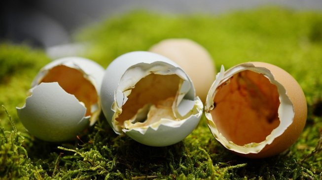 Ilustrasi telur asin yang sudah dimakan (Pixabay/congerdesign)