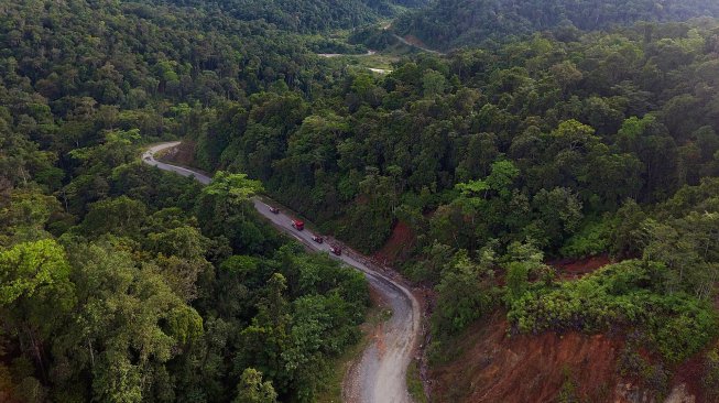 Sejumlah truk pengangkut BBM dari TBBM Nabire melintasi kawasan hutan menuju sejumlah daerah pedalaman diantaranya dogiyai, paniai hingga yang terjauh Kampung Obano di Papua, Rabu (28/11/2018).