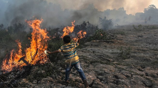 Kebakaran lahan di Desa Kayu Arehh, Kertapati Palembang, Sumatera Selatan, Minggu, (18/8). [ANTARA FOTO / Mushaful Imam]