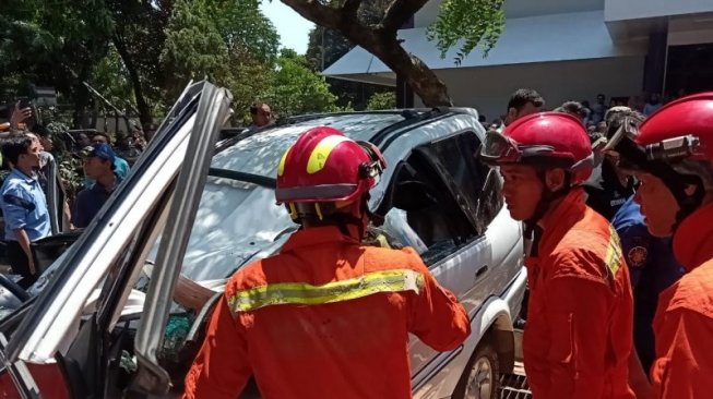 Hodijah Tewas Tertimpa Pohon Tumbang di UP, Diduga karena Angin Kencang