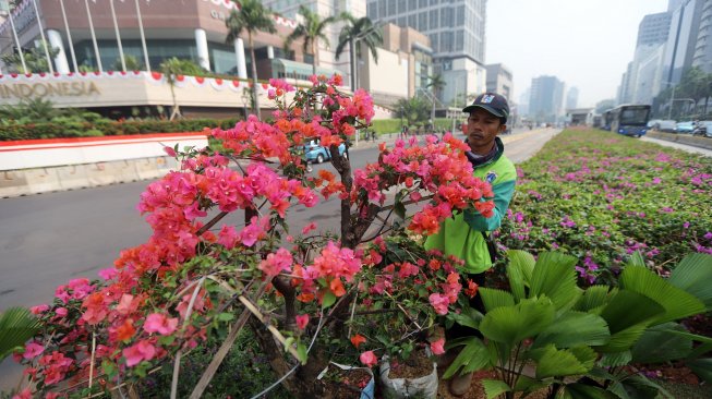 Petugas Dinas Kehutanan DKI Jakarta melakukan perawatan pada tanaman bougenville di kawasan Bundaran HI, Jakarta, Rabu (21/8). [Suara.com/Arya Manggala]