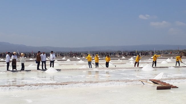 Tekan Ongkos Produksi Garam, Kementerian PU Diminta Buatkan Jalan