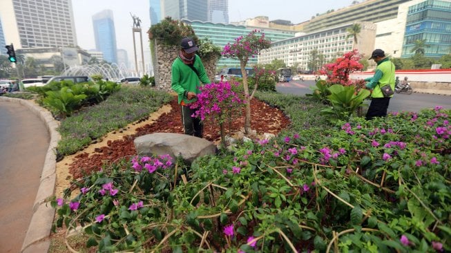 Petugas Dinas Kehutanan DKI Jakarta melakukan perawatan pada tanaman bougenville di kawasan Bundaran HI, Jakarta, Rabu (21/8). [Suara.com/Arya Manggala]