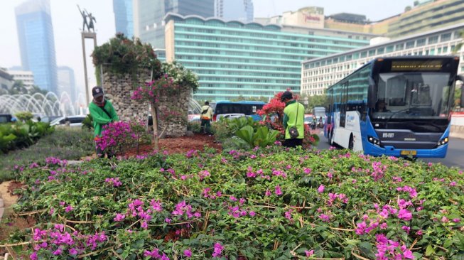 Petugas Dinas Kehutanan DKI Jakarta melakukan perawatan pada tanaman bougenville di kawasan Bundaran HI, Jakarta, Rabu (21/8). [Suara.com/Arya Manggala]