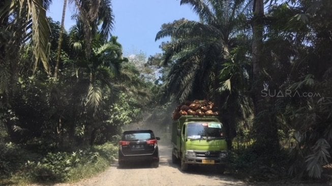 Empat Jam Bermobil Demi Jumpai Gajah Kesayangan Nicholas Saputra