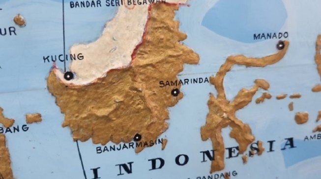 Jadi Surga Keanekaragaman Hayati, Ini 3 Tanaman Obat di Kalimantan Timur