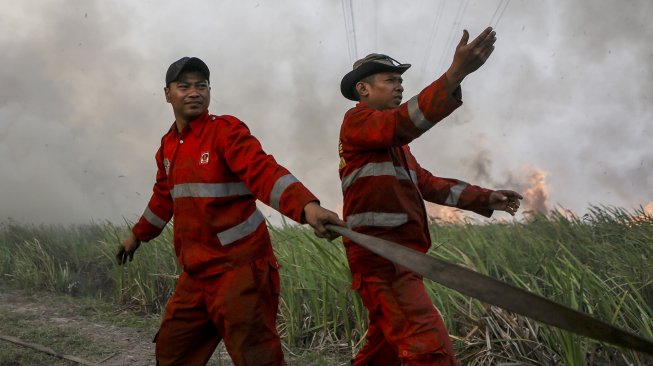 Petugas gabungan dari TNI dan Manggala Agni Daops Banyuasin berusaha memadamkan kebakaran lahan di Desa Pemulutan, Ogan Ilir, Sumatera Selatan, Jumat (23/8). [ANTARA FOTO/Nova Wahyudi]