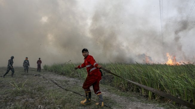 Petugas gabungan dari TNI dan Manggala Agni Daops Banyuasin berusaha memadamkan kebakaran lahan di Desa Pemulutan, Ogan Ilir, Sumatera Selatan, Jumat (23/8). [ANTARA FOTO/Nova Wahyudi]