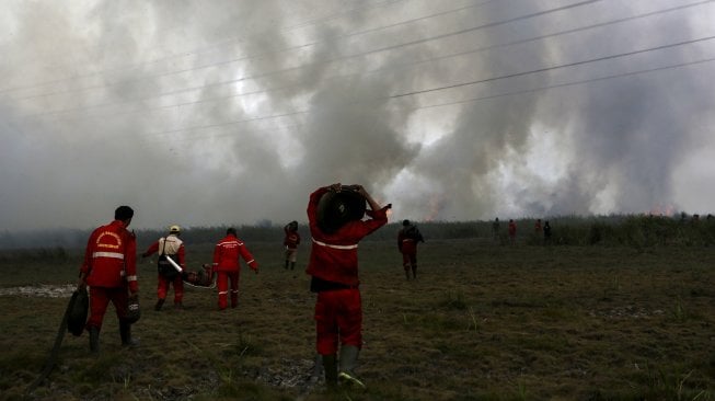 Petugas gabungan dari TNI dan Manggala Agni Daops Banyuasin berusaha memadamkan kebakaran lahan di Desa Pemulutan, Ogan Ilir, Sumatera Selatan, Jumat (23/8). [ANTARA FOTO/Nova Wahyudi]