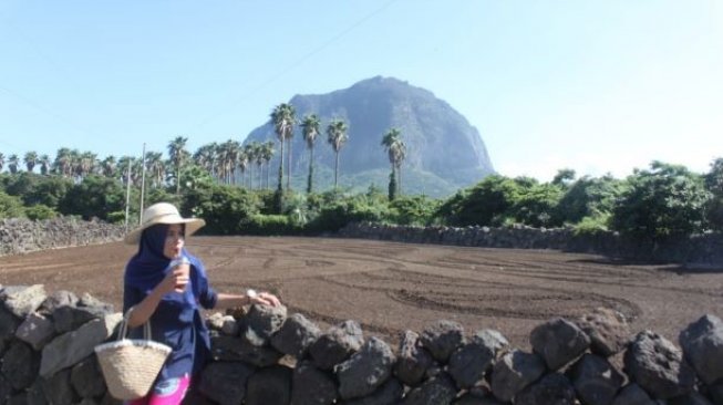 Pemandangan Gunung Sanbangsan di Seogwipo, Pulau Jeju, Korea Selatan. (Suara.com/Silfa Humairah)