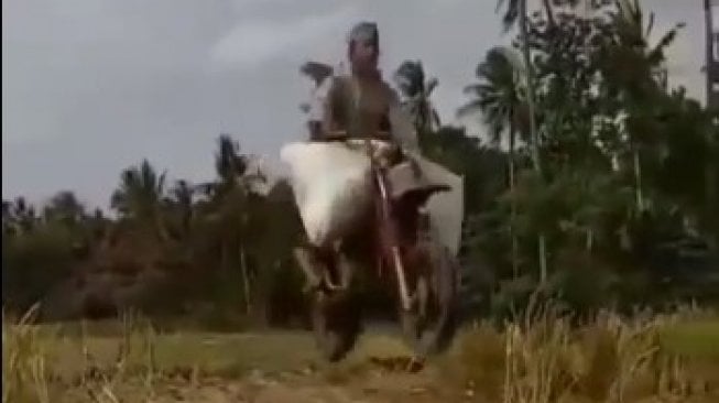 Ngetrail Sambil Bawa Gabah, Aksi Pemotor Ini Bikin Terpukau