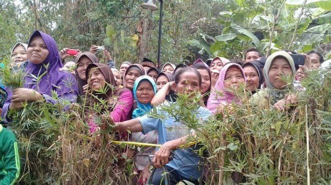 Prarekonstruksi kasus pembunuhan satu keluarga di Banyumas, Jawa Tengah jadi tontonan warga. (Suara.com/Teguh).