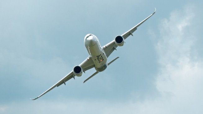 Artikel Pria Tak Sengaja Beli 2 Pesawat Airbus untuk Putranya Cuma Satire