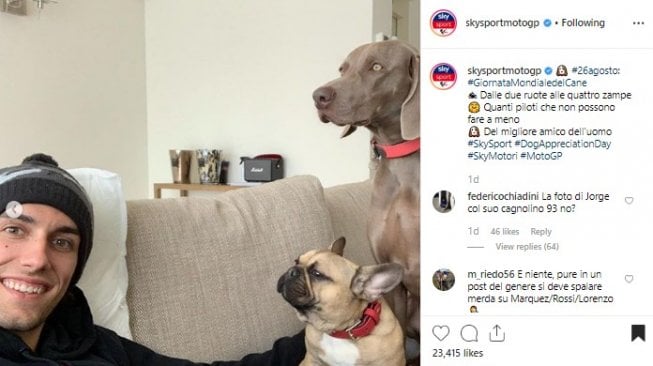 Deretan anjing peliharaan pembalap MotoGP. (Instagram/@skysportmotogp)