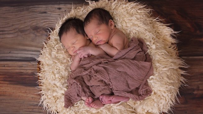 Ilustrasi bayi kembar (Pixabay/3194556)