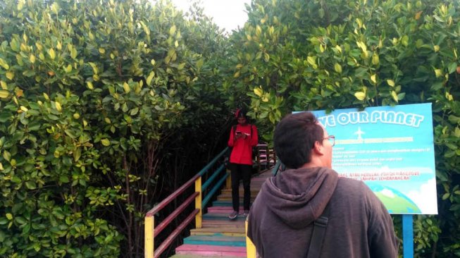 Menyusuri Jembatan Labirin Wisata Mangrove Pantai Lontar