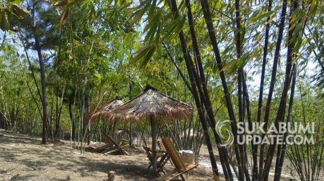 Melepas Penat Diterpa Semilir Angin Taman Bambu Waluran