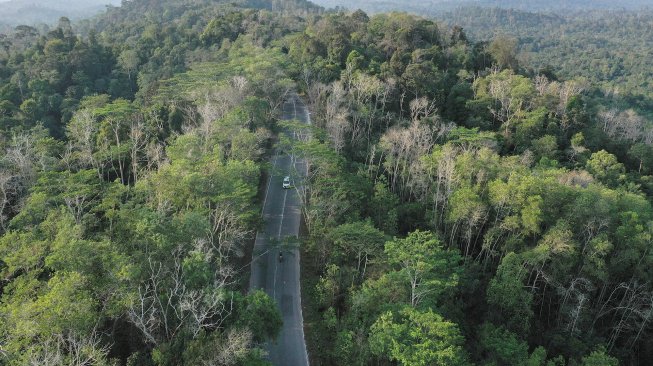 Foto aerial Taman Hutan Raya (Tahura) Bukit Soeharto di Kutai Kartanegara, Kalimantan Timur, Sabtu (31/8). [ANTARA FOTO/Akbar Nugroho Gumay]