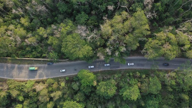 Foto aerial Taman Hutan Raya (Tahura) Bukit Soeharto di Kutai Kartanegara, Kalimantan Timur, Sabtu (31/8). [ANTARA FOTO/Akbar Nugroho Gumay]