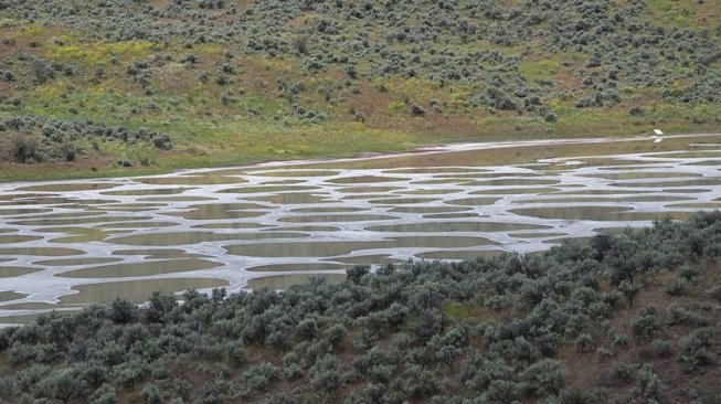 Spotted Lake di musim panas. (Wikimedia Commons Papejon2)