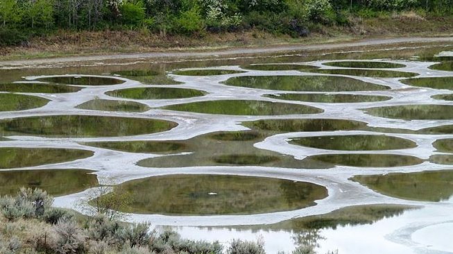 Spotted Lake (Wikimedia Commons Jack Borno)