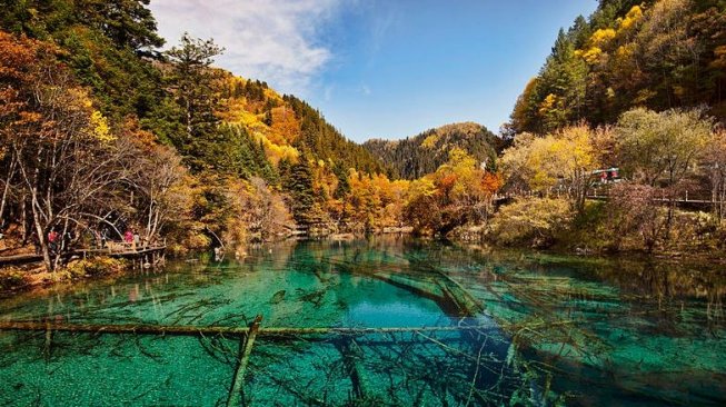 Ini Alasan Five Flower Lake di China Memiliki Beragam Warna