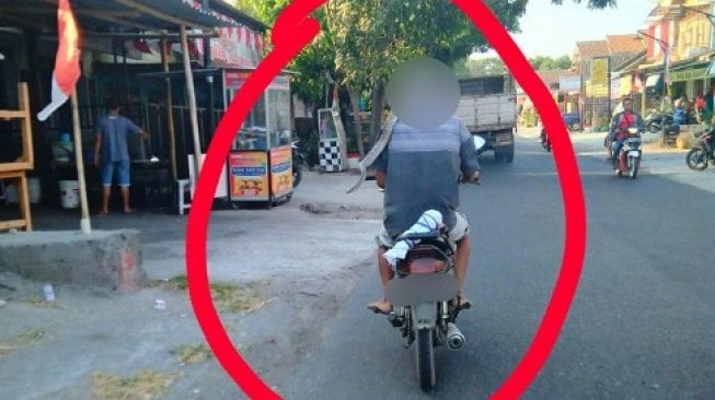 Naik Motor Sambil Gendong Ular, Pemotor Ini Bikin Pengguna Jalan Resah