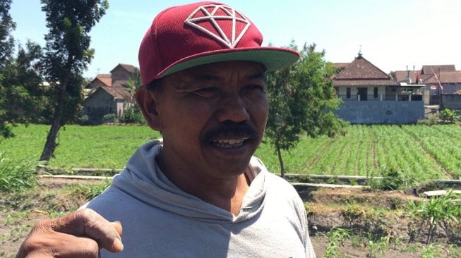 Toiran (59), petani yang menanam jagung di area penemuan arca batu kepala kala. [Suara.com/Agus H]