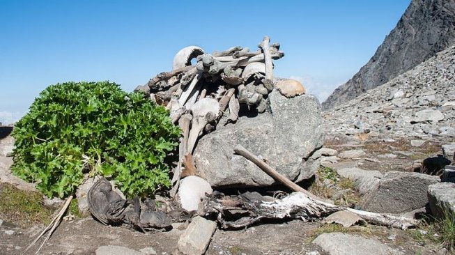 Tumpukan tulang di Danau Roopkund. (Wikimedia Commons Schwiki)