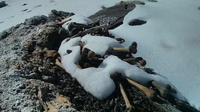Mengungkap Tabir Misteri Tumpukan Tengkorak di Danau Roopkund India