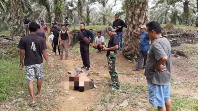 Cabuli Anak Kandung Hingga Hamil, Samsu Tewas Ditembak Polisi