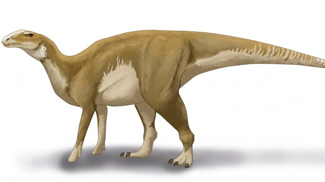 Ilustrasi Dinosaurus Hadrosaurid. [Wikipedia]