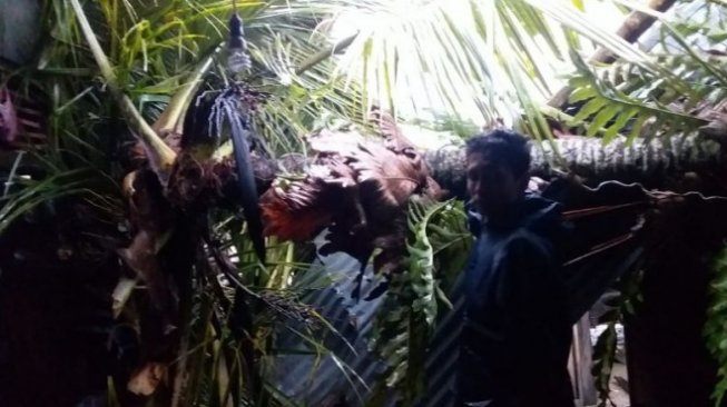 Lagi, Hujan disertai Angin Kencang Rusak Rumah Warga di Solsel