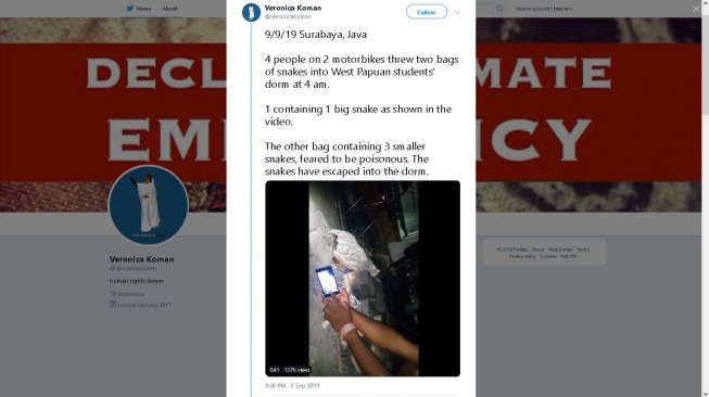 Veronica Koman unggah video teror ular di asrama mahasiswa Papua - (Twitter/@VeronicaKoman)