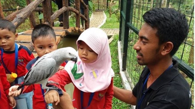 Cocok untuk Liburan Keluarga, Ini 4 Rekomendasi Kebun Binatang di Bogor