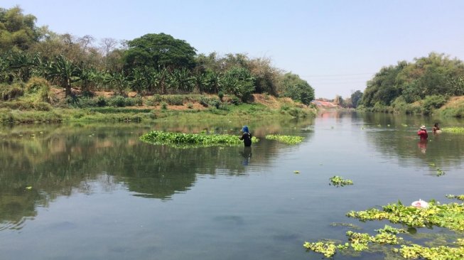 Ngeyel! Ganjar Pranowo Sentil 10 Perusahaan yang Mencemari Sungai Bengawan Solo