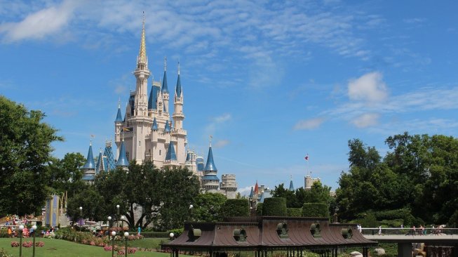 Demi Bisa Pergi di Disney World Tiap Bulan, Wanita Ini Melakukan Donor Plasma 2 Kali Seminggu