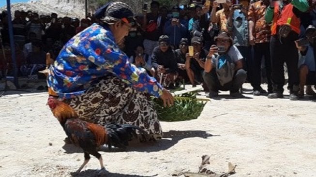 Prosesi pemindahan watumanten di Gunung Kidul. [Suara.com/Julianto]