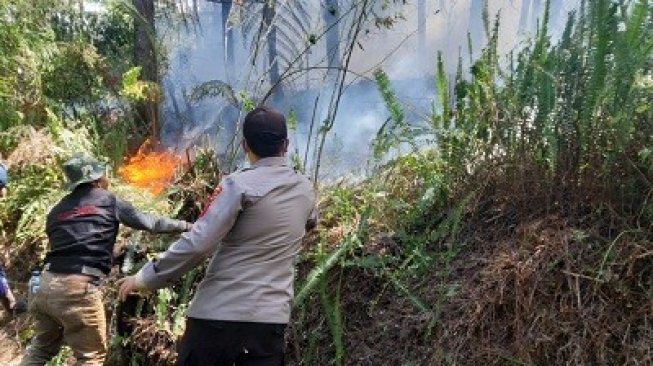 Hutan Gunung Slamet Kembali Terbakar