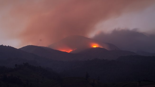 Kobaran api kebakaran hutan di Gunung Merbabu terlihat dari Selo, Boyolali, Jawa Tengah, Jumat (13/9). [ANTARA FOTO/Mohammad Ayudha]
