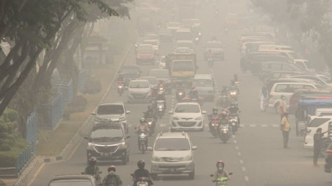 Riau dan Palembang Hujan, Asap Kebakaran Hutan Diklaim Berkurang