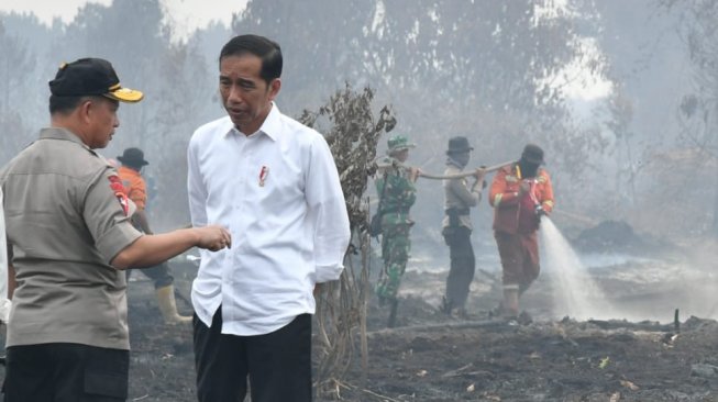 Presiden Jokowi pantau kebakaran hutan. (Biro Pers Kepresidenan)