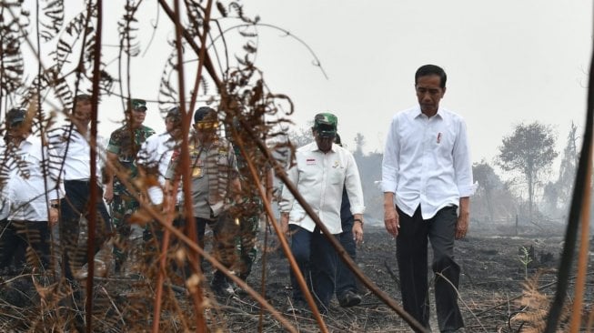 Presiden Jokowi pantau kebakaran hutan. (Biro Pers Kepresidenan)