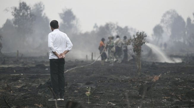 Presiden Joko Widodo meninjau penanganan kebakaran lahan di Desa Merbau, Kecamatan Bunut, Pelalawan, Riau, Selasa (17/9). [ANTARA FOTO/Puspa Perwitasari]
