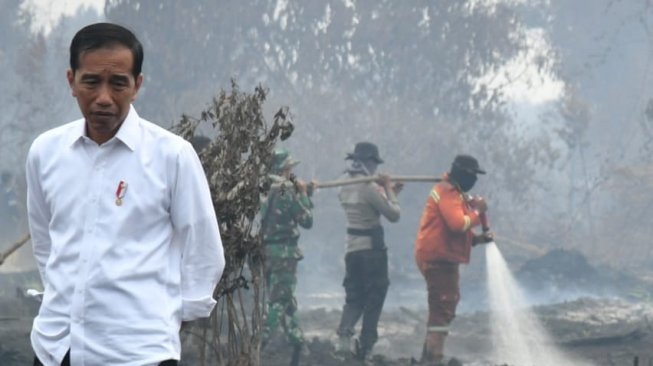 Presiden Jokowi pantau kebakaran hutan. (Biro Pers Kepresidenan)