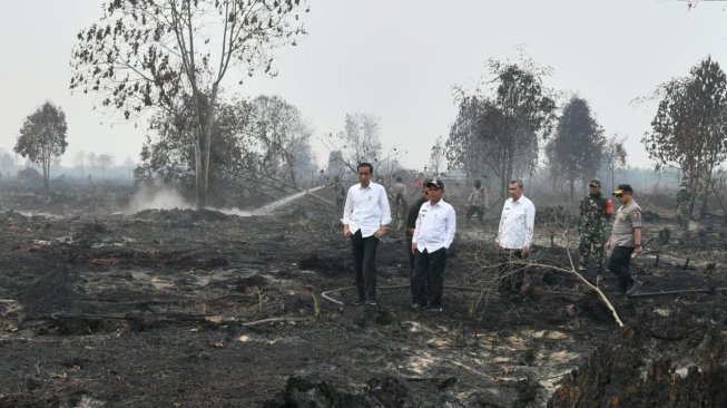 Presiden Jokowi pantau kebakaran hutan. (Biro Pers Kepresidenan)