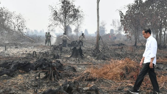 Presiden Jokowi pantau kebakaran hutan. (Biro Pers Kepresidenan)