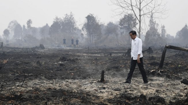 Aktivis Lingkungan Ungkap Tinjauan Jokowi ke Lokasi Karhutla Settingan