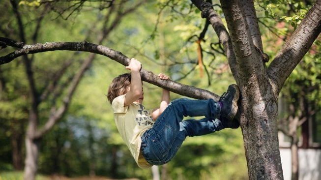 anak memanjat pohon [shutterstock]